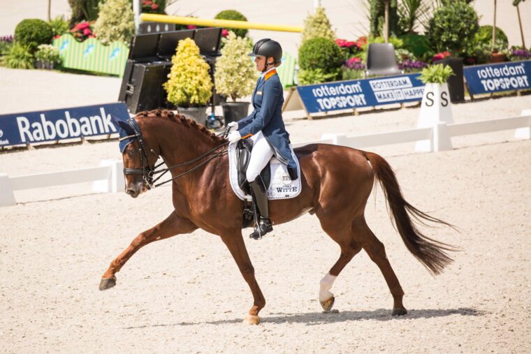 IMG 9525 235 Cennin CDIO WITTE VREES Madeleine