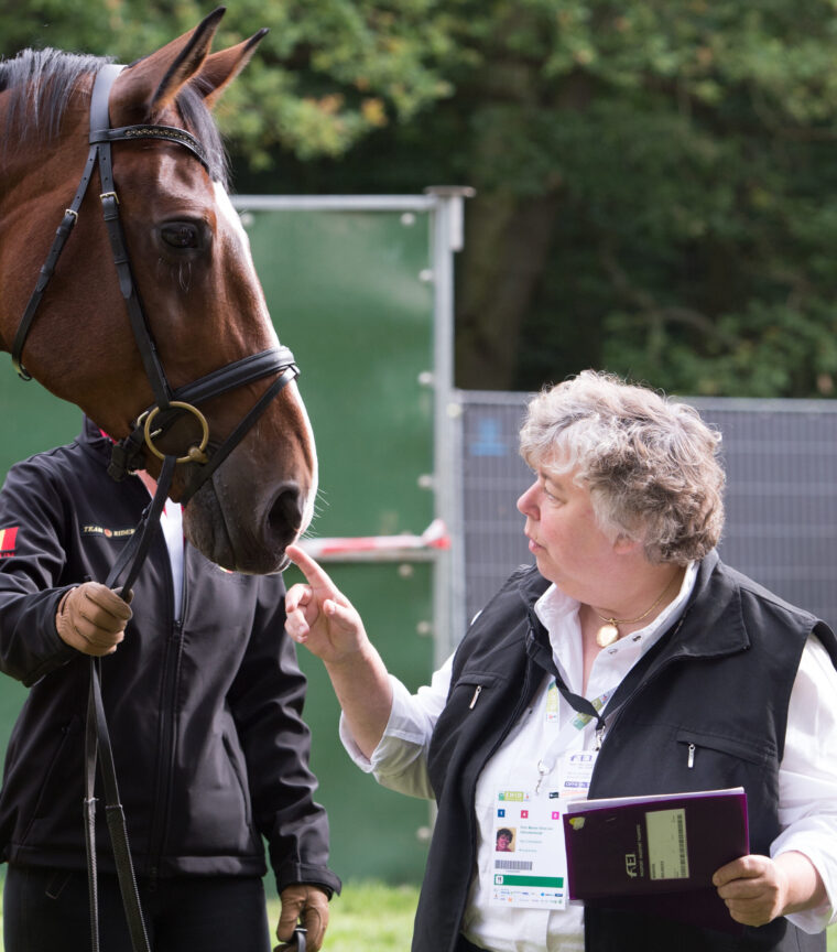 Keuring Woensdag wedstrijdpaarden 12