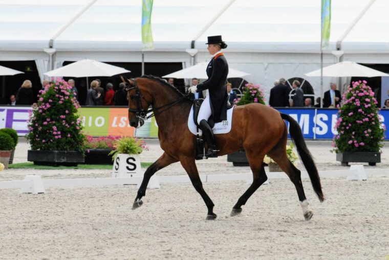 Whats App Image 2022 02 21 at 12 04 20