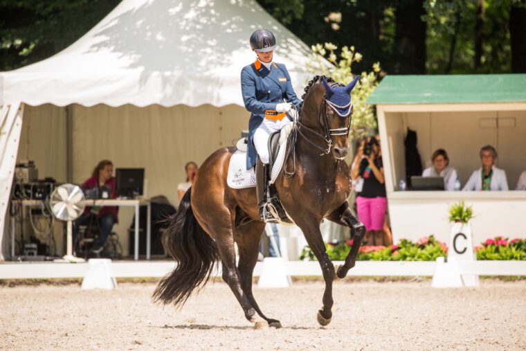 IMG 1114 230 Apache SCHOLTENS Emmelie