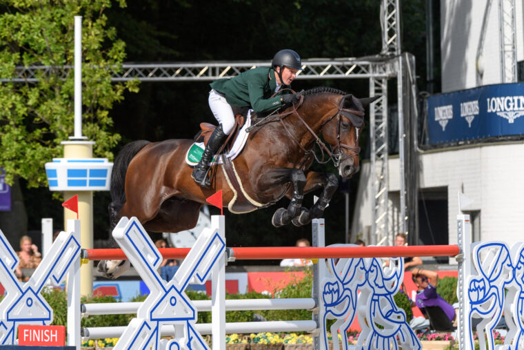 NB Peter Moloney Chianti s Champion IRL S S Bay 2008 Champi DS5 2943