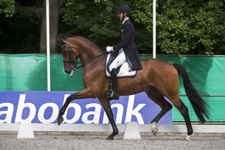 ROTHENBERGER Sonke COSMO 59 2