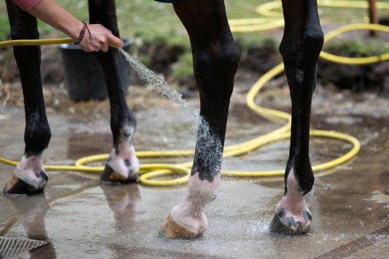 Rsz dv afspuiten 05327