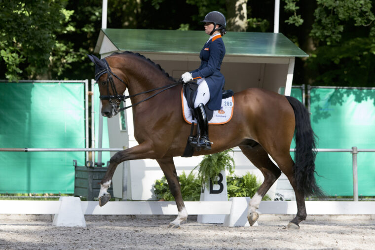 Rsz meulendijks anne mdh avanti