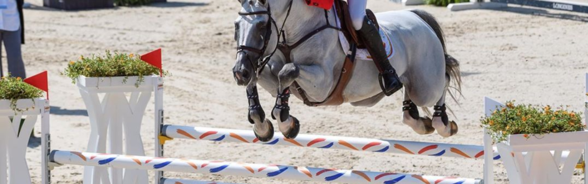 Schermafbeelding 2019 11 19 om 10 49 25