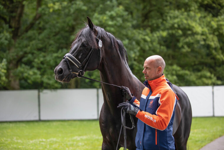 DV HP Minderhoud Team NL 1811