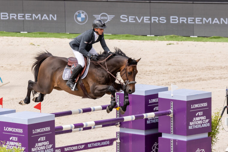 AS 130 Julien Epaillard Donatello D Auge FRA 1