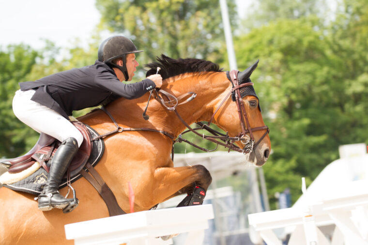 CV CHIO2018 10 Maikel van der Vleuten Beauville Z NED F CV7923