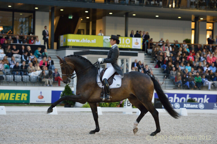 Winnares kur DWF 6306 Border Maker