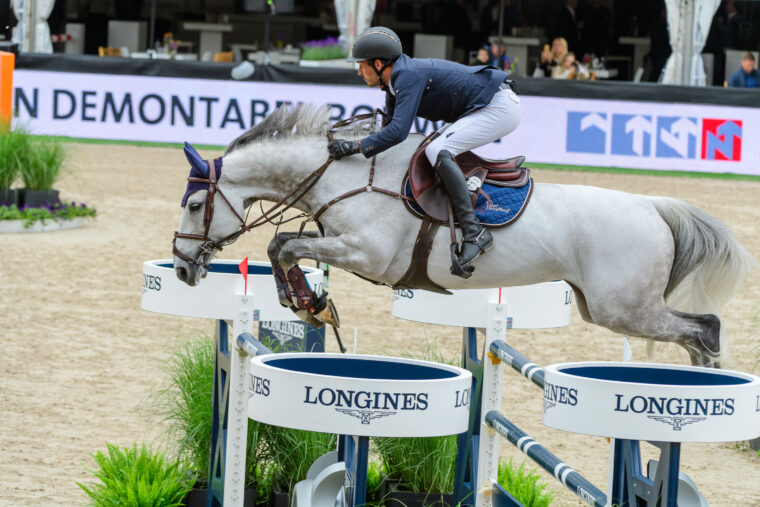 NB NED Jack Ansems Fliere Fluiter VDL Zirocco Blue x Animo DSC1568