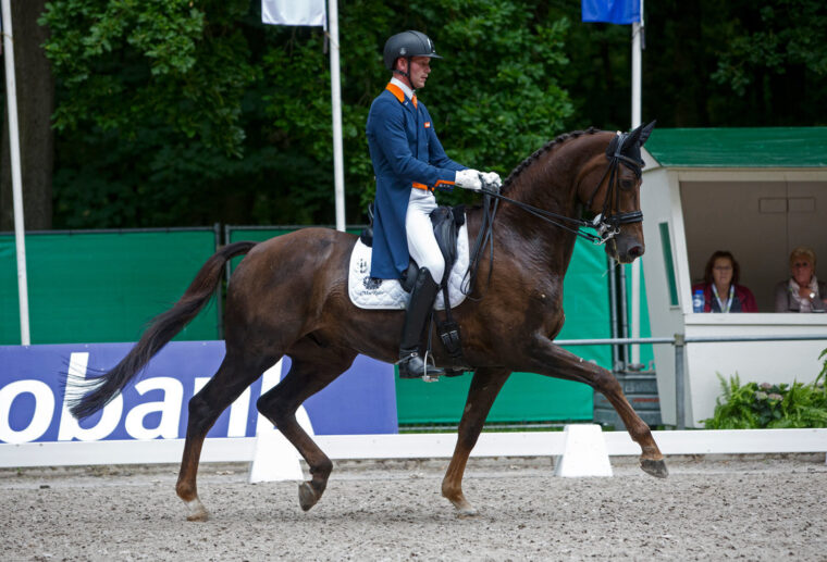 Rsz van silfhout diederik bonzanjo 3