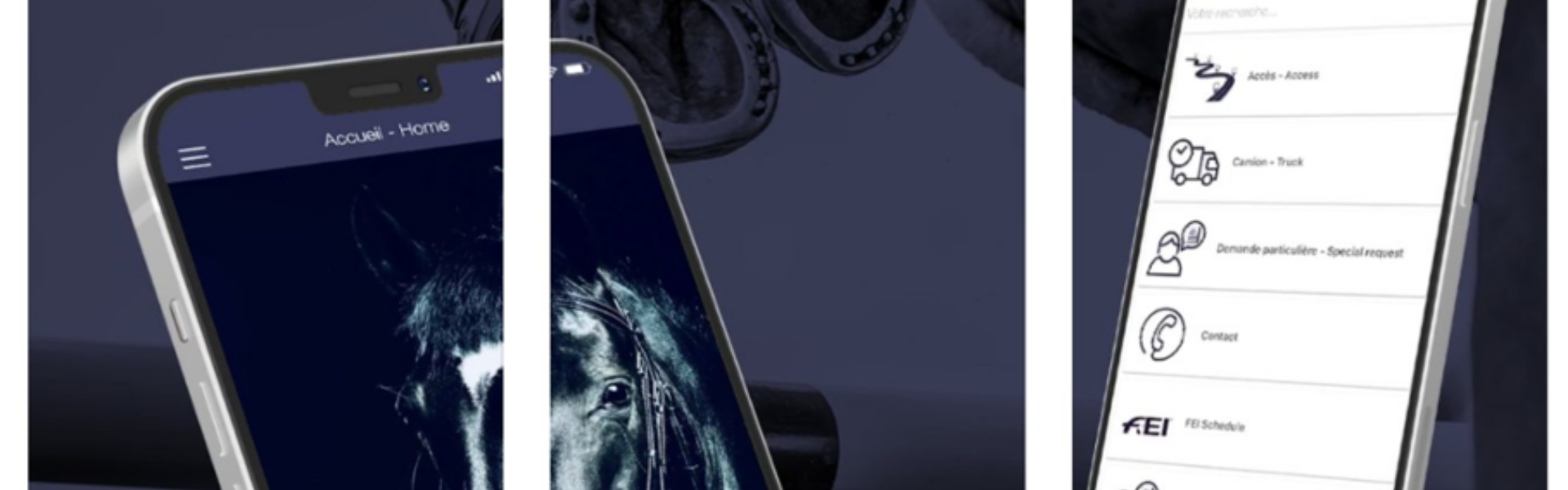 Borg events app