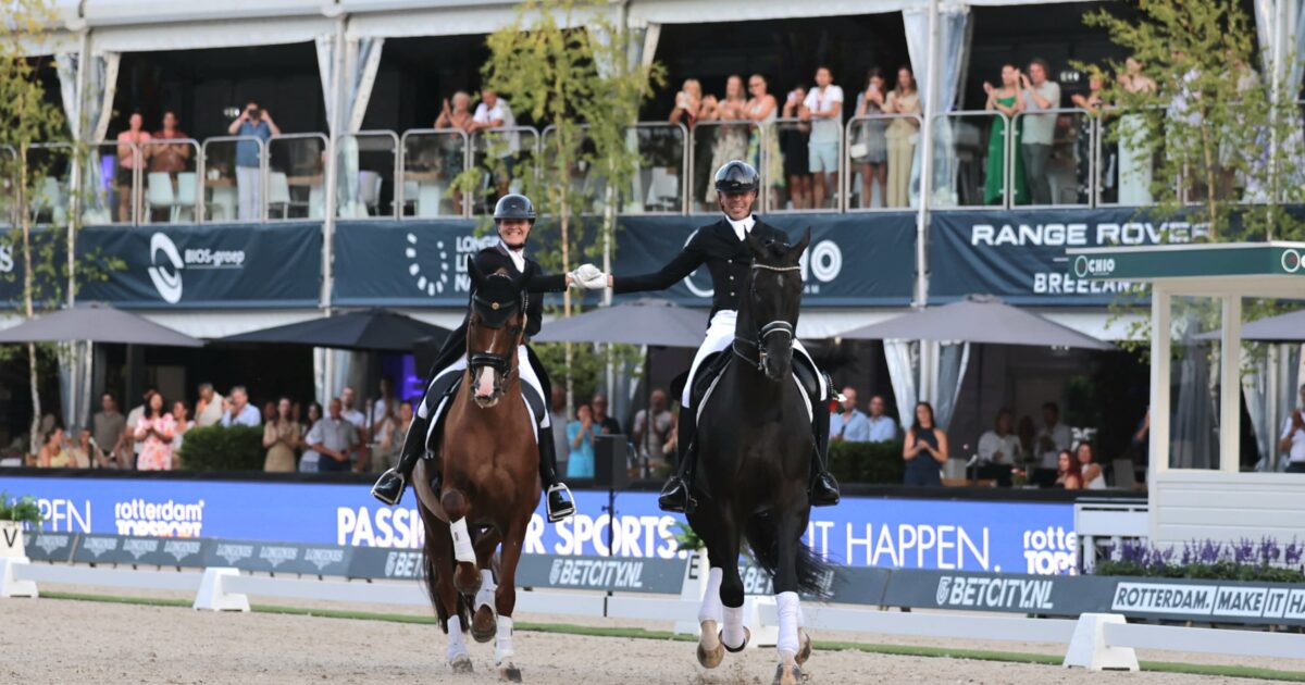 Overzicht van verschillende online casino spellen op een scherm