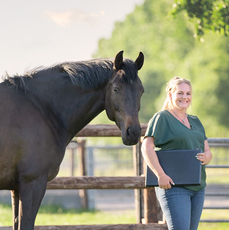 Paard Winst 01 06 22 Da Ko Fotografie Instagram 11 2