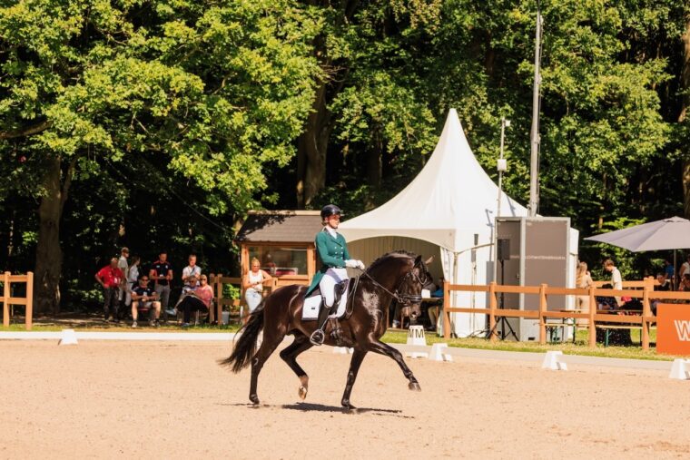 JP Lare van Nek Obsession Taonga Startnummer 441 1