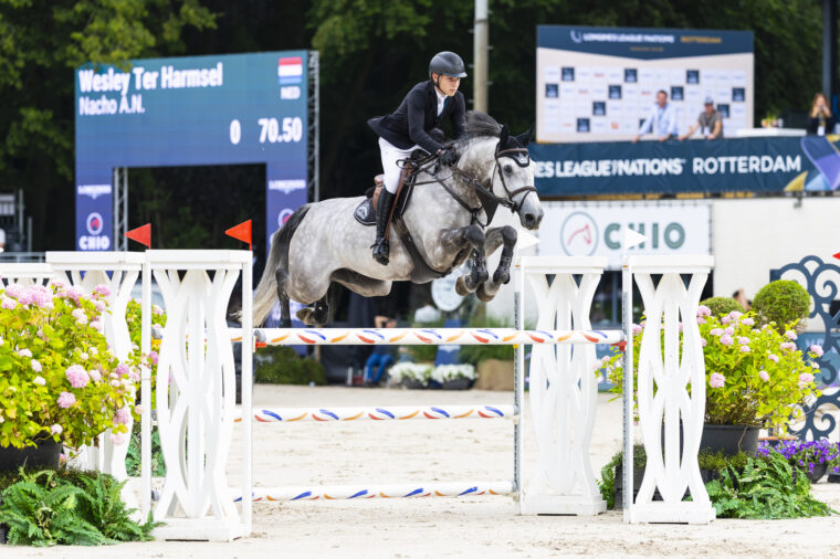 Wesley ter Harmsel Nacho AN ROTT26 L165 A0167