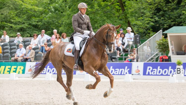 228 Zippo MEER Patrick van der12
