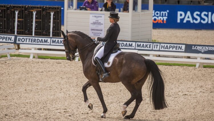 68684539 2523236644405508 1643462668809404416 n