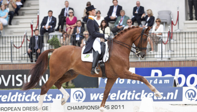 Adelinde Cornelissen Parcival 1 Internet2