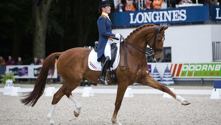 Adelinde Cornelissen Parzival 1klein