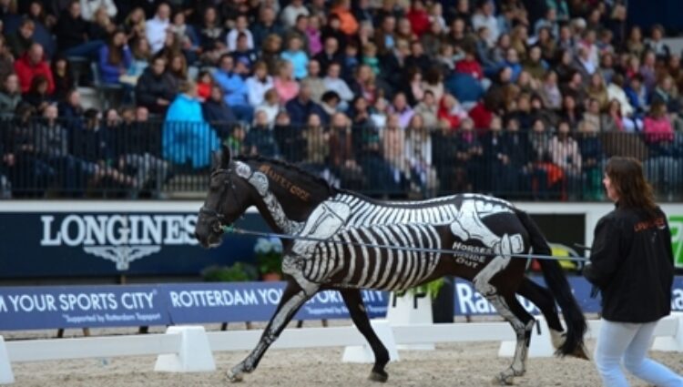Alltech paard