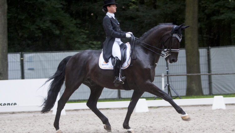 CDI3 Danielle Heijkoop Siro