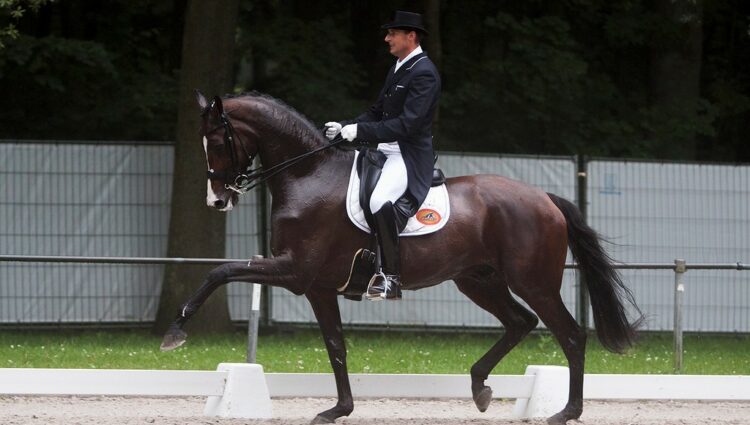 CDI3 Patrick Vander Meer Uzzo Border Maker