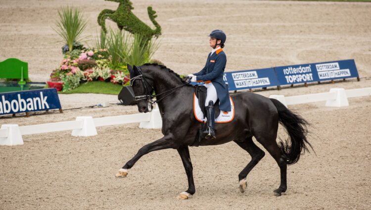 CHIO2016 288 HEIJKOOP Danielle Siro NOP CDIO NED