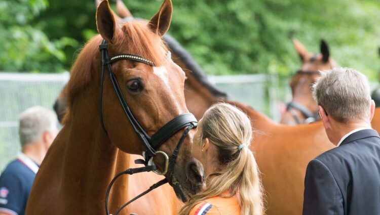 CORNELISSEN Adelinde Jerich Parzival 78 306 CDIO NED1