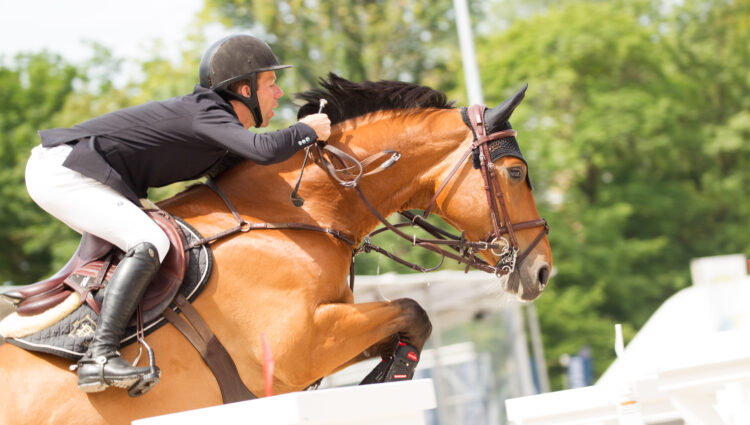 CV CHIO2018 10 Maikel van der Vleuten Beauville Z NED F CV7923