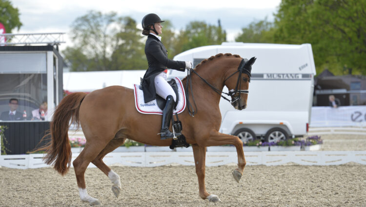 Cathrine DUFOUR ATTERGAARDS CASSIDY Lws