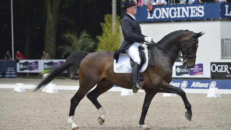 D1 Rockx 061920132 DWF0434