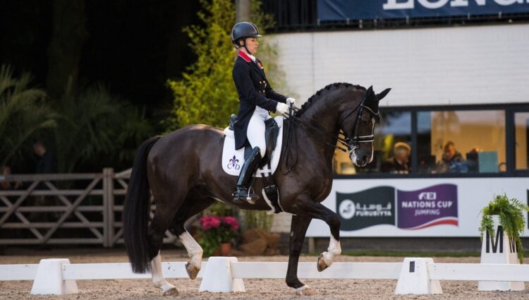 D16 DUJARDIN 9
