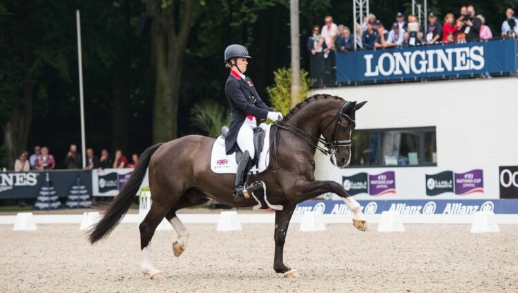 D8 DUJARDIN 1 van 1