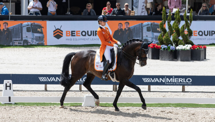 DV CHIO123 Hermes N O P van Liere Dinja NED A2825