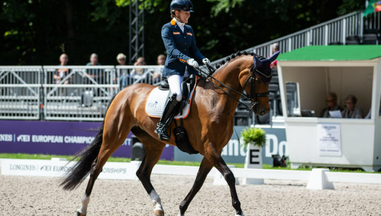DV Rixt van der Horst Findsley NED paradressuur teamnl DV 00567