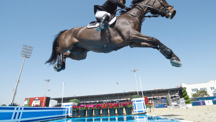 Daniel Meech NZ LW
