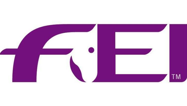 FEI logo