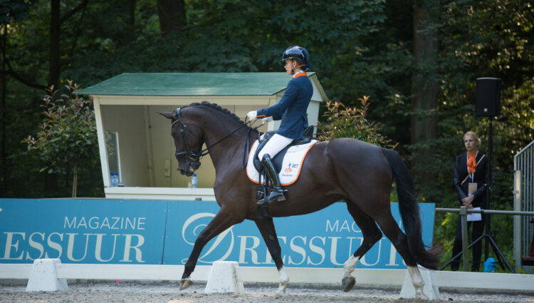 IMG 5761 CHIO2016 Rixt van der Horst Caraat