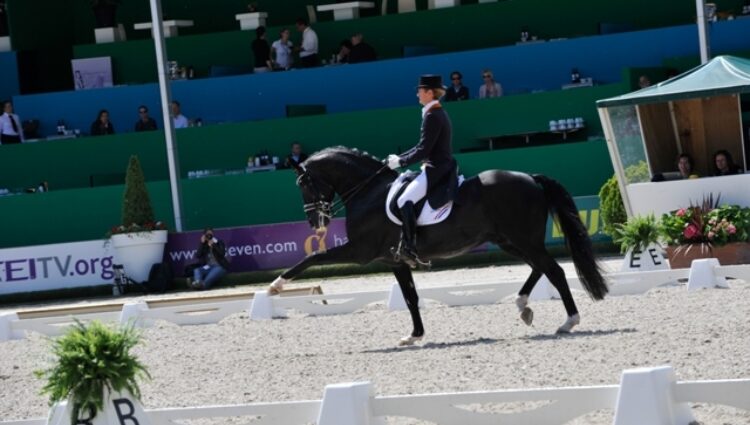 Internet Gal Edward met Moorlands Totilas 3 NETHERLANDS