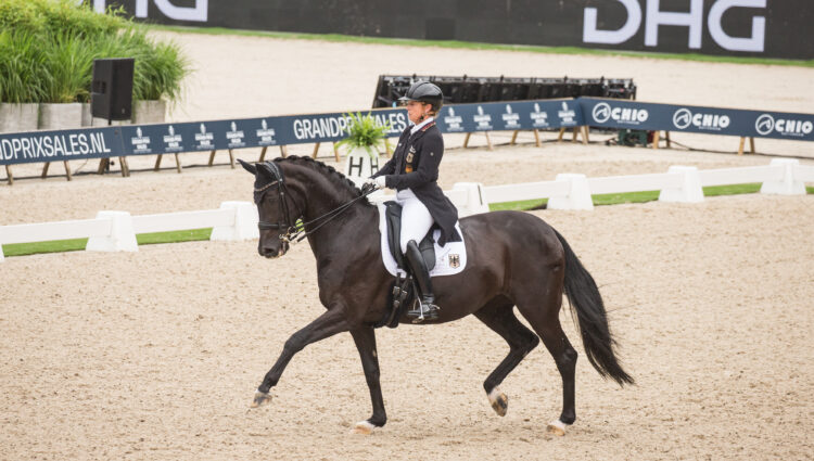 Isabelle and Weihegold JP