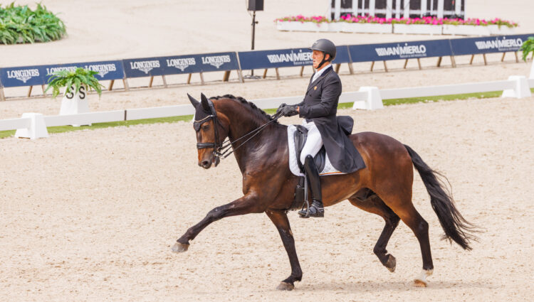 JP CHIO018 Wim Verwimp Jedai de Massa BEL 513