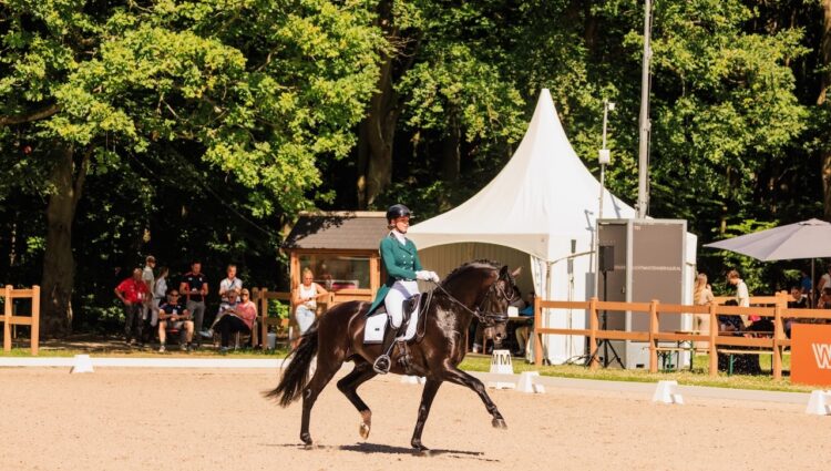 JP Lare van Nek Obsession Taonga Startnummer 441 1