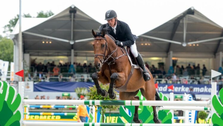 Jeroen Dubbeldam Zenith SFN