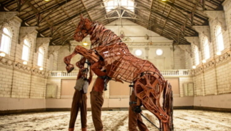 Joey ontmoet echt paard 1 1024