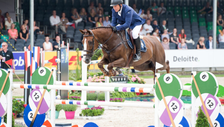 NBF 3241 CHIO2016 VAN DER SCHANS Wout Jan Aquila Sfn 129 CSIO NED