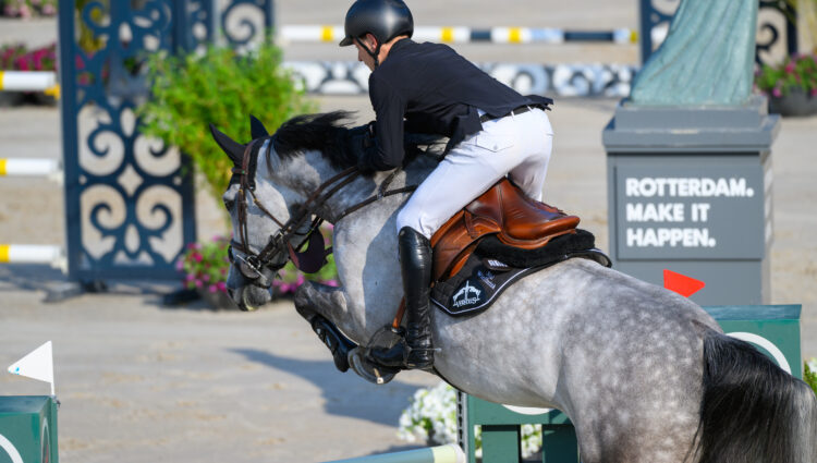 NB 210 Wesley Ter Harmsel Nacho A N NED B14 6668