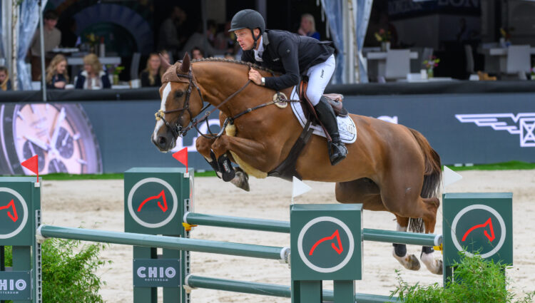NB CHIO461 Pretty Woman van t Paradijs Greve Willem NED CSIO5 LLN N08 3158