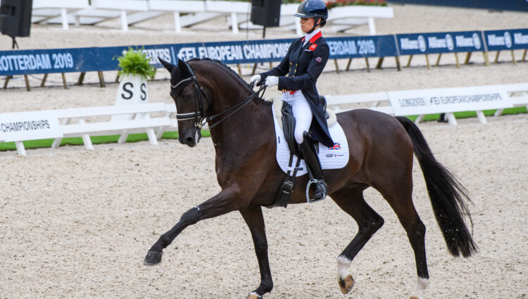 NB Charlotte Fry Dark Legend GBR D G Dark Bay 2008 Zucchero DSC 2491