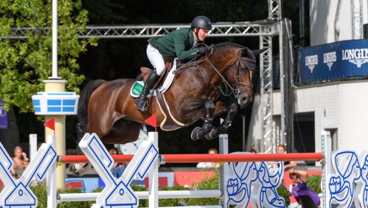 NB Peter Moloney Chianti s Champion IRL S S Bay 2008 Champi DS5 2943